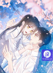 Hydrangea Melancholy