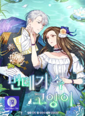 Cat in the Chrysalis