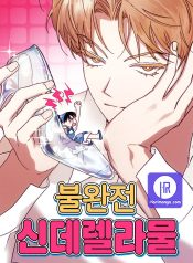 Imperfect Cinderella Story