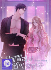 When Cinderella’s Magic Fades Away