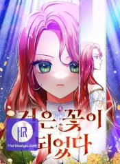 Became a Black Flower