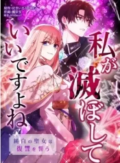 You Don’t Mind If I Destroy This Kingdom, Right? The Pure White Saintess Vows Revenge