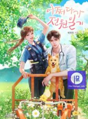 My Accidental Country Life