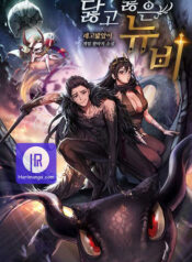 Worn and Torn Newbie