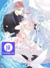 The Mermaid Wears a Dress